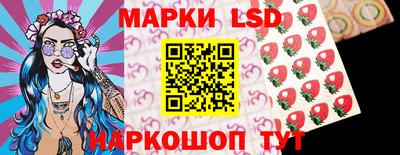 прущие грибы Краснознаменск