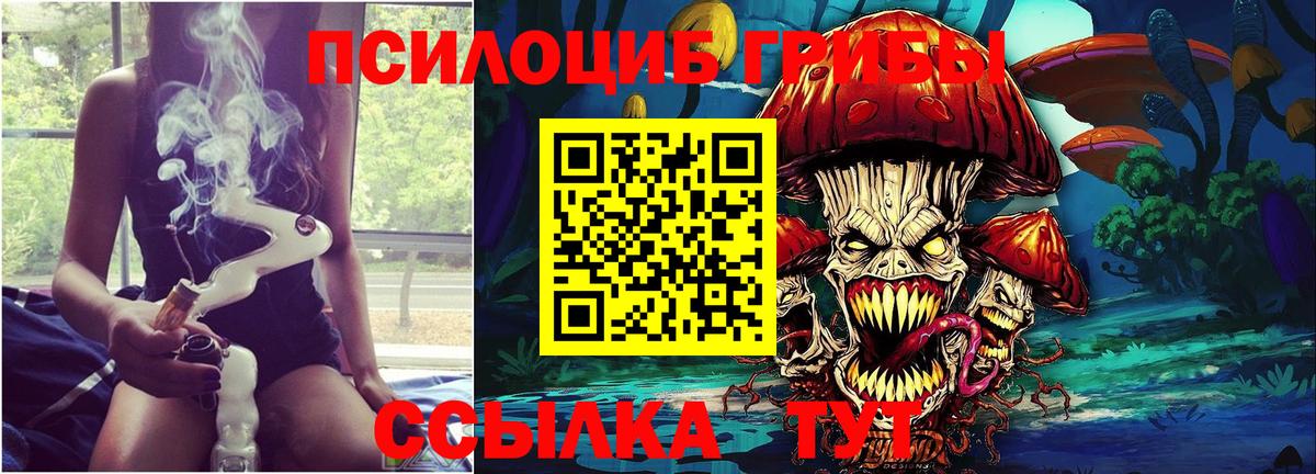 Псилоцибиновые грибы мухоморы  наркошоп  Грозный  Псилоцибиновые грибы ЛСД  Вход с VPN 