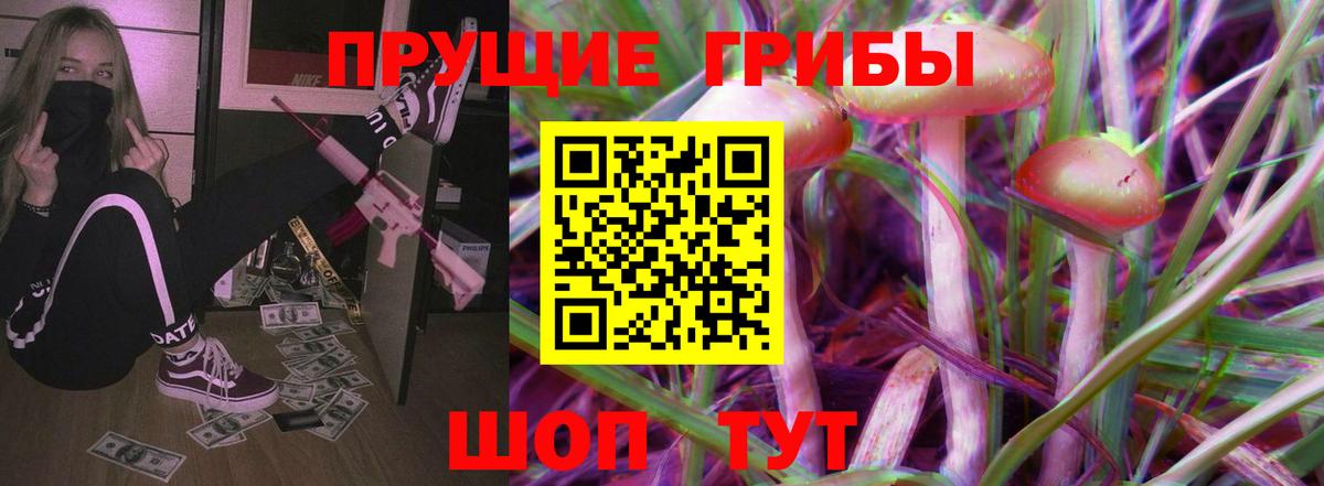 Галлюциногенные грибы прущие грибы Грозный